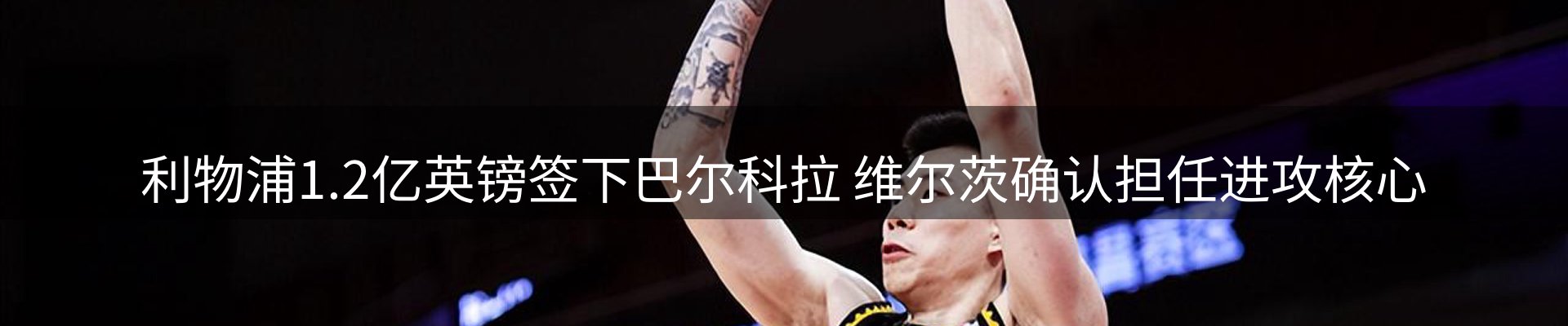 新闻总览