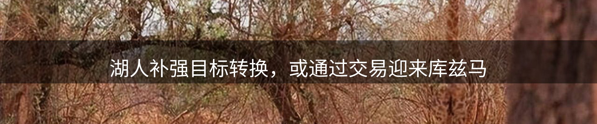 新闻总览